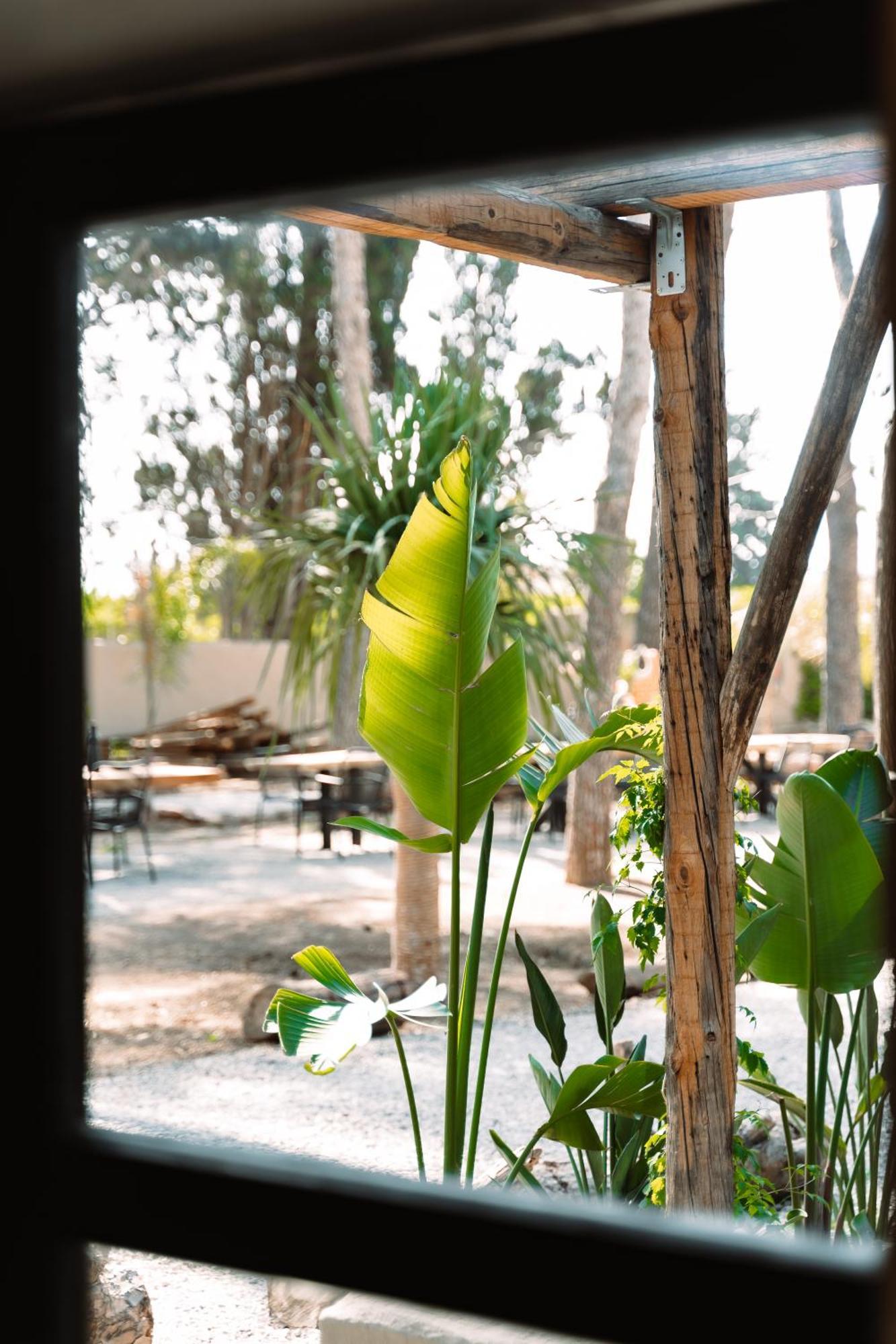 Parco Ibiza, By Camping San Antonio Est 1961 Phòng bức ảnh